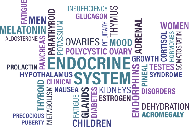 thyroid, endocrine, iodine benefits and risks