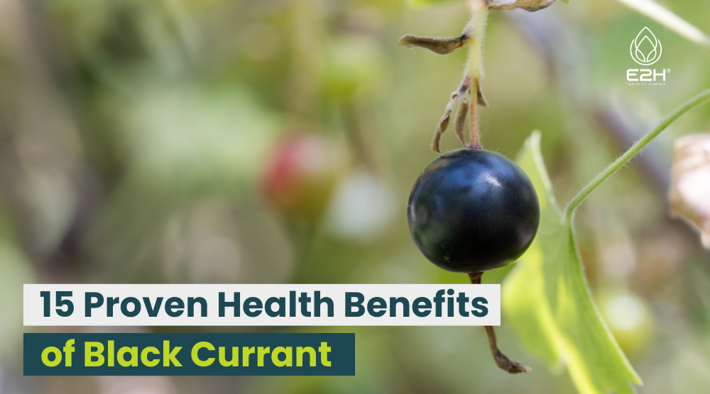 15 Proven Health Benefits of Black Currant
