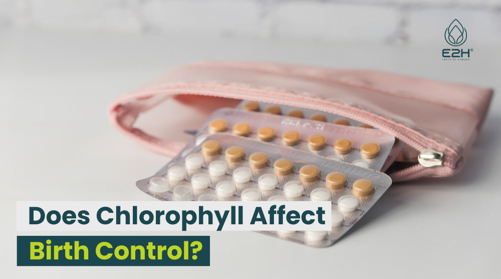 Does Chlorophyll Affect Birth Control? Best Explanation!