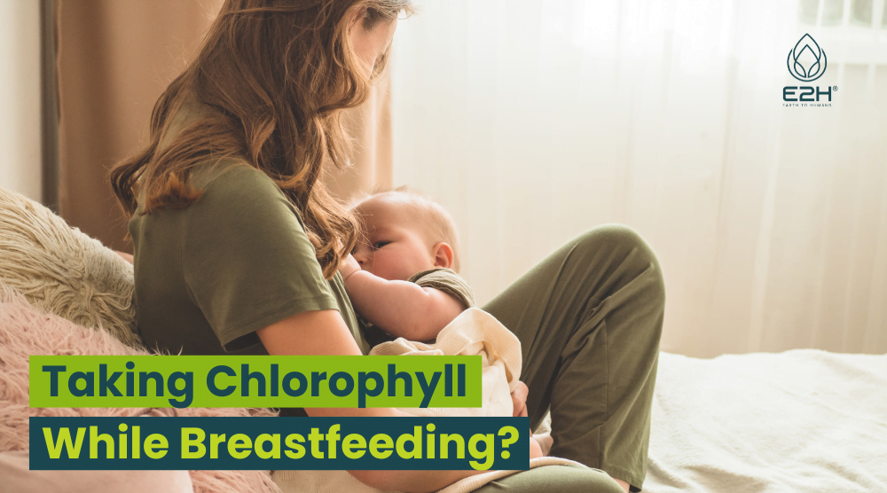 Can You Take Chlorophyll While Breastfeeding?