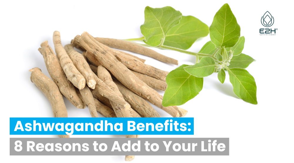 Ashwagandha Benefits: 8 Proven Reasons to Add This Adaptogenic Herb to Your Daily Routine