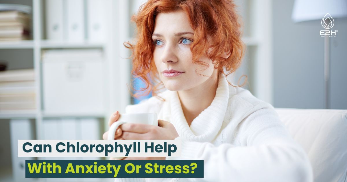 Can Chlorophyll Help With Anxiety Or Stress?