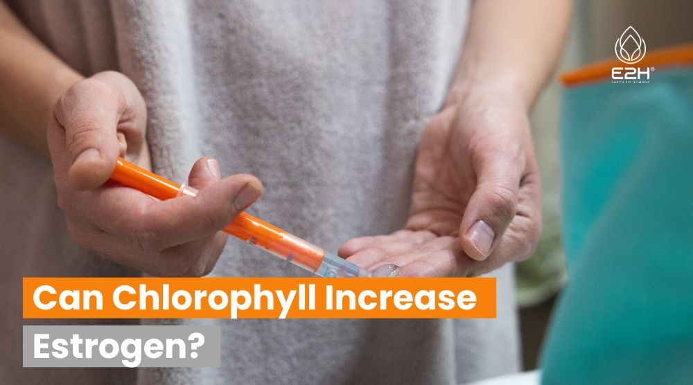 Can Chlorophyll Increase Estrogen?