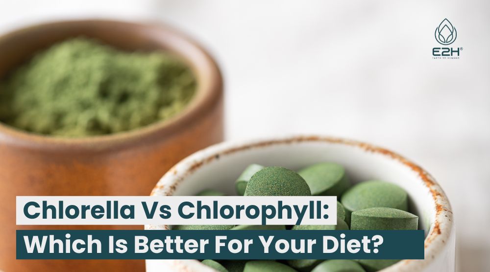 Chlorella Vs Chlorophyll