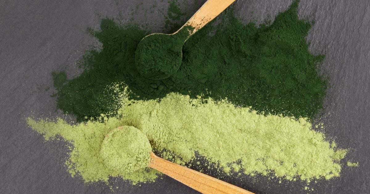 Chlorophyll VS Spirulina A Comparative Analysis Of Health Benefits