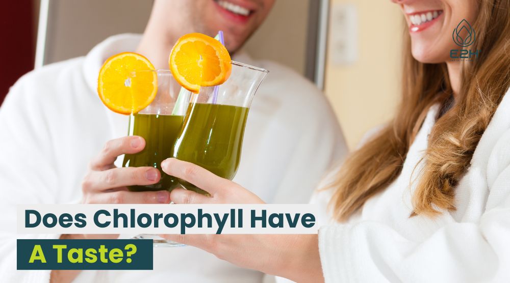 Does Chlorophyll Have A Taste? Optimal Explanation!