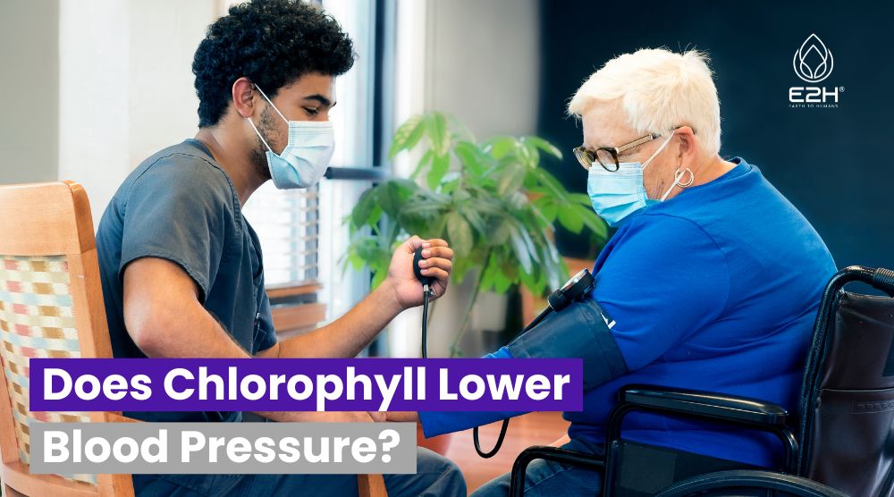 Does Chlorophyll Lower Blood Pressure?