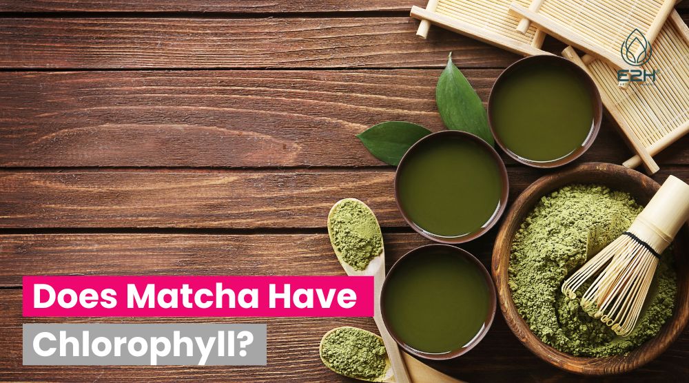 Does Matcha Have Chlorophyll?