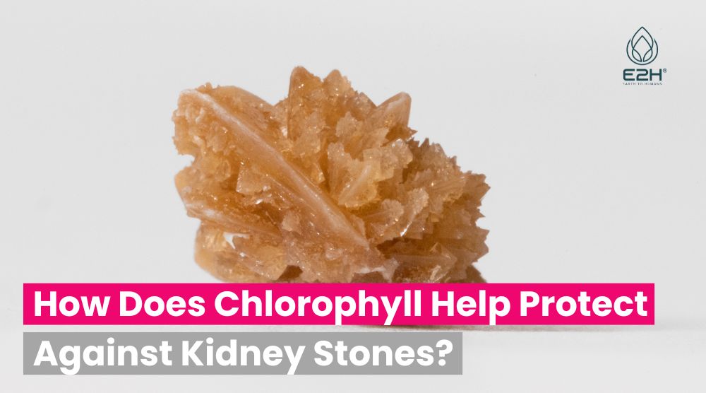 How Does Chlorophyll Help Protect Against Kidney Stones