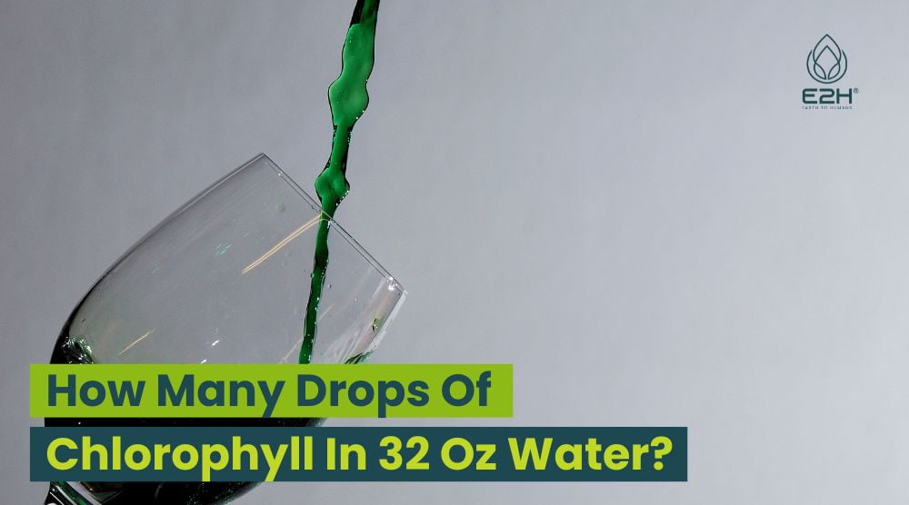 How Many Drops Of Chlorophyll In 32 Oz Water