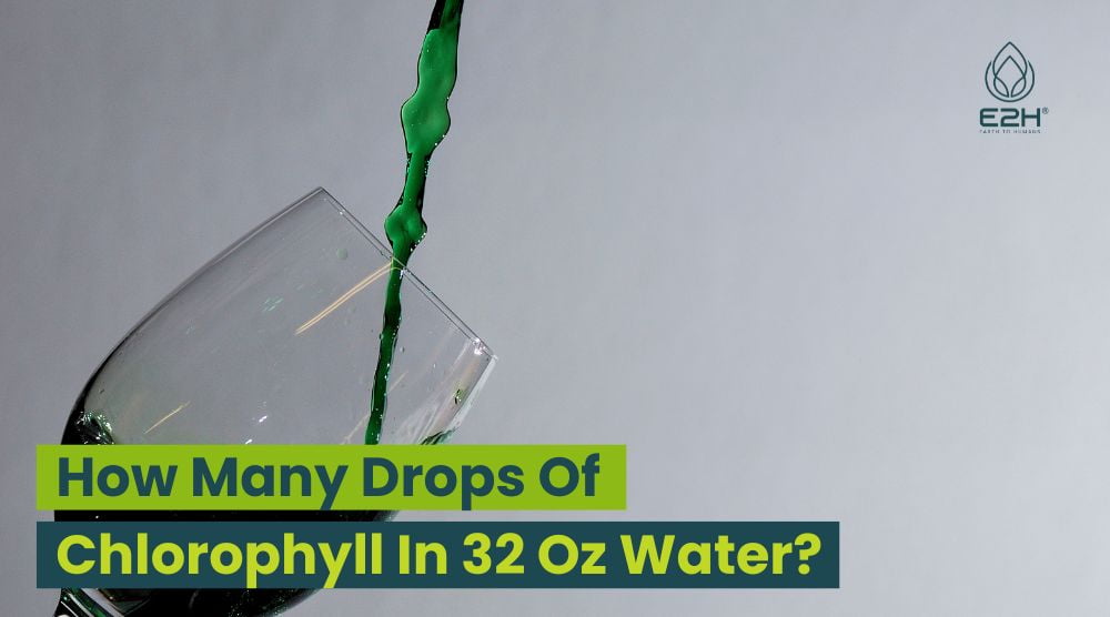 How Many Drops Of Chlorophyll In 32 Oz Water?