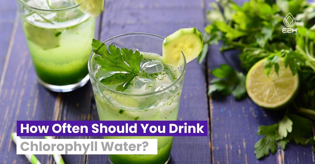 How Often Should You Drink Chlorophyll Water?