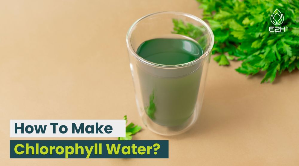 How To Make Chlorophyll Water?
