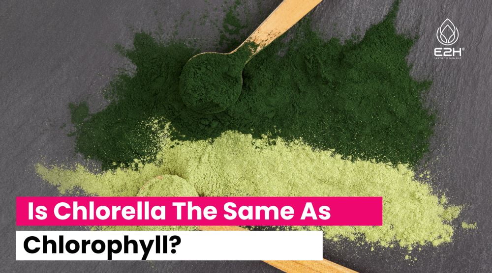 Is Chlorella The Same As Chlorophyll?