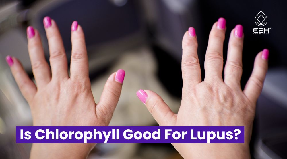 Is Chlorophyll Good For Lupus?