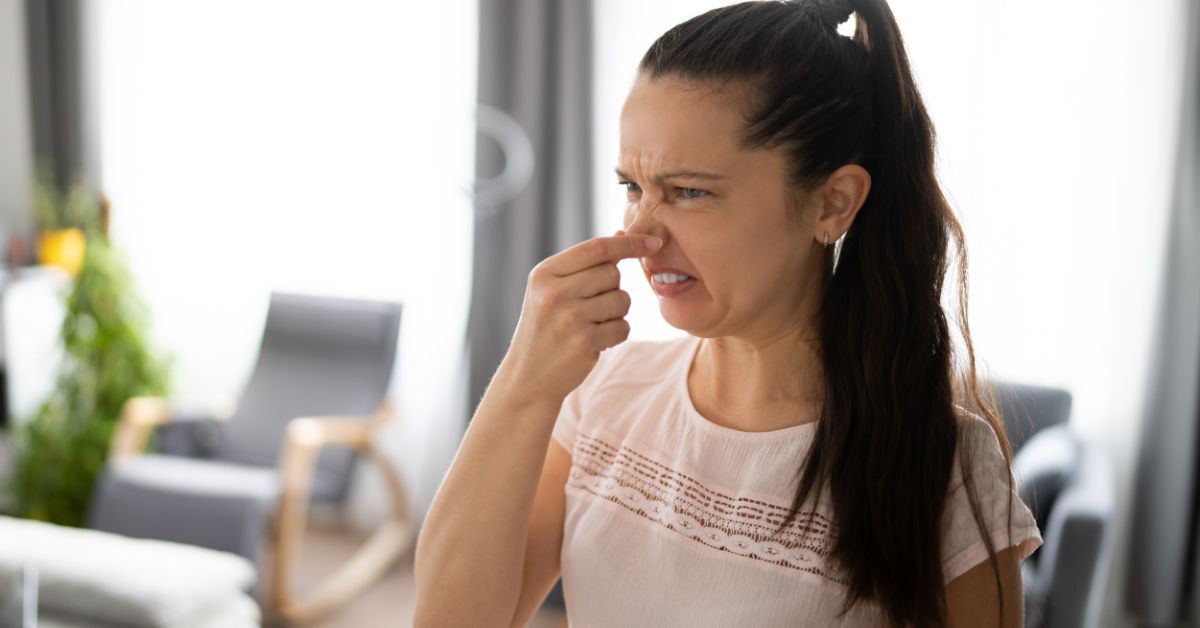 Liquid Chlorophyll Benefits For Vag Surprising Results! Wellness