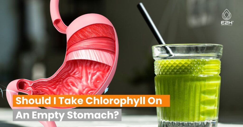 Should I Take Chlorophyll On An Empty Stomach