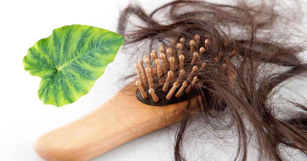 Can Chlorophyll Cause Hair Loss
