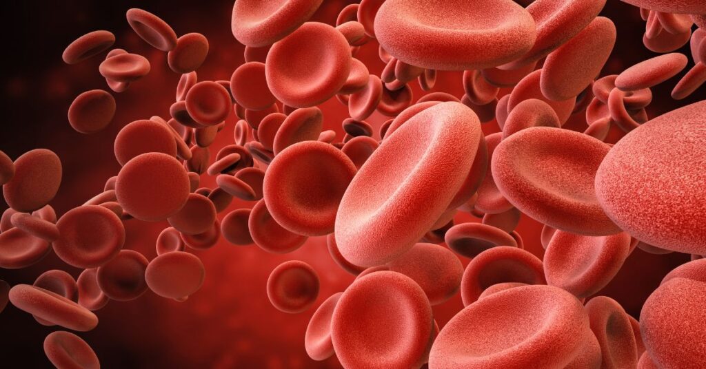 red blood cells