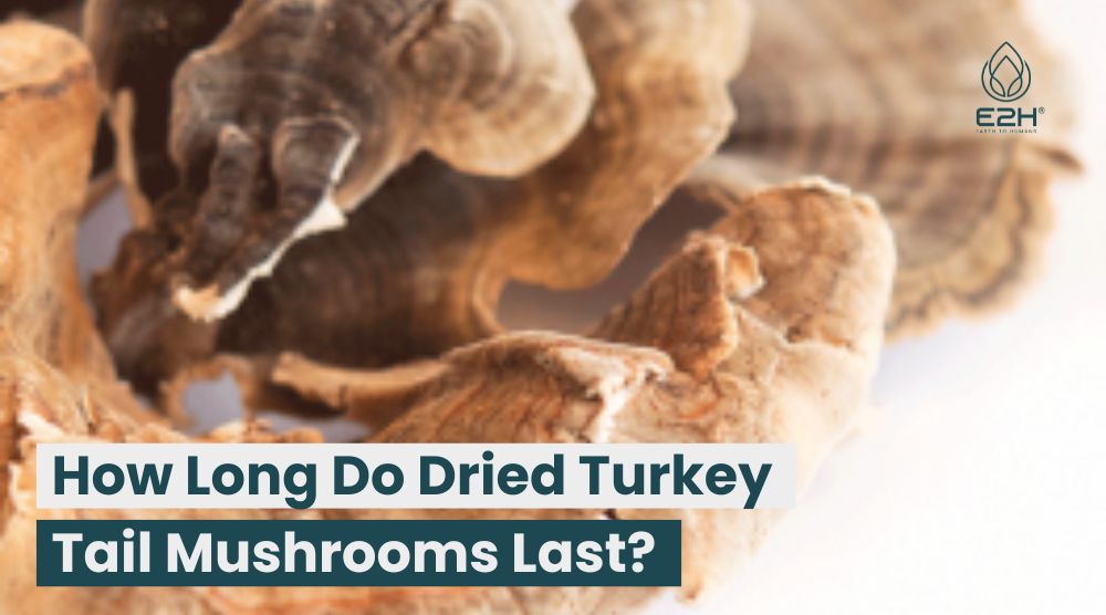 How Long Do Dried Turkey Tail Mushrooms Last?