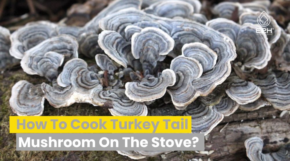 how to cook turkey tails on the stove