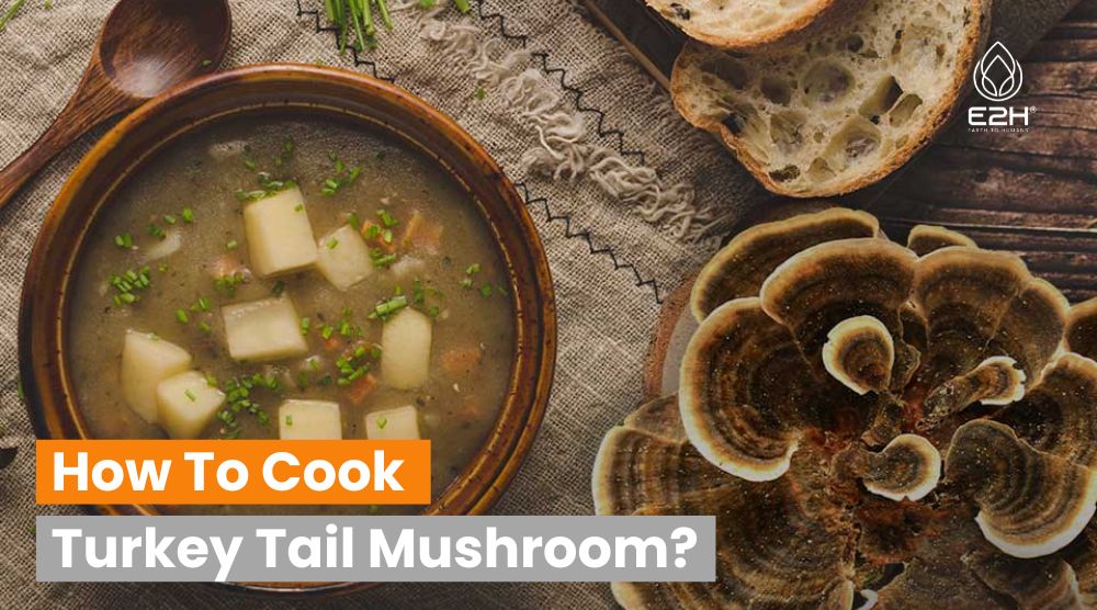 How To Cook Turkey Tail Mushroom: Best Methods