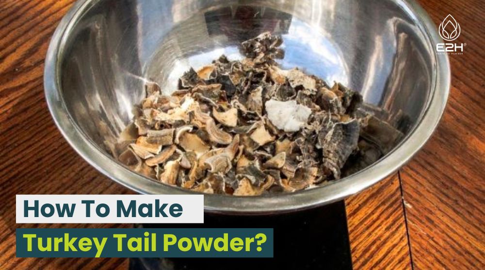 How To Make Turkey Tail Powder