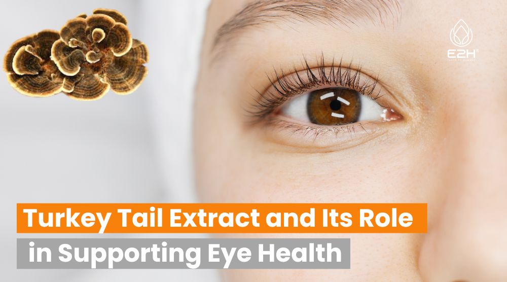 Turkey Tail Extract and Its Role in Supporting Eye Health