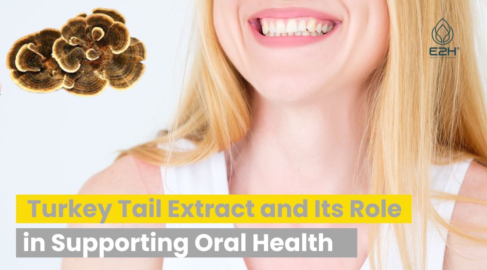 Turkey Tail Extract and Its Role in Supporting Oral Health