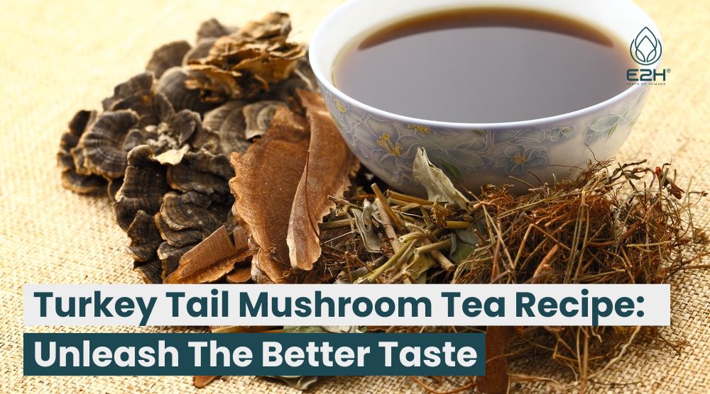 Turkey Tail Mushroom Tea Recipe: Unleash The Better Taste