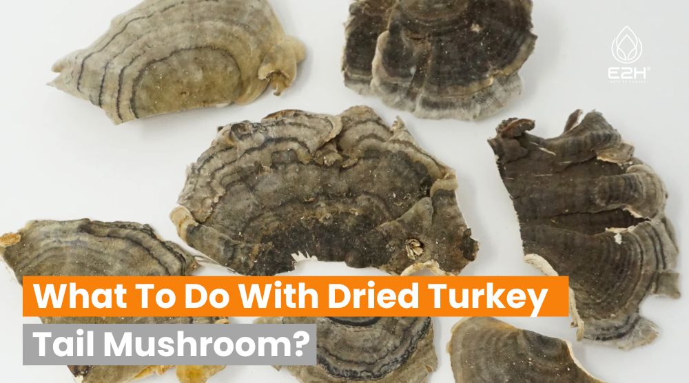 What To Do With Dried Turkey Tail Mushroom