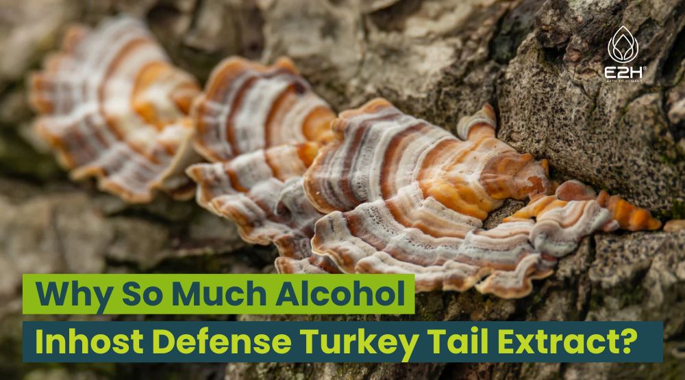 Why So Much Alcohol Inhost Defense Turkey Tail Extract?