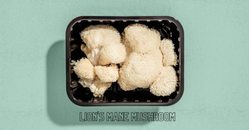 Where Can I Find Lion's Mane Mushrooms