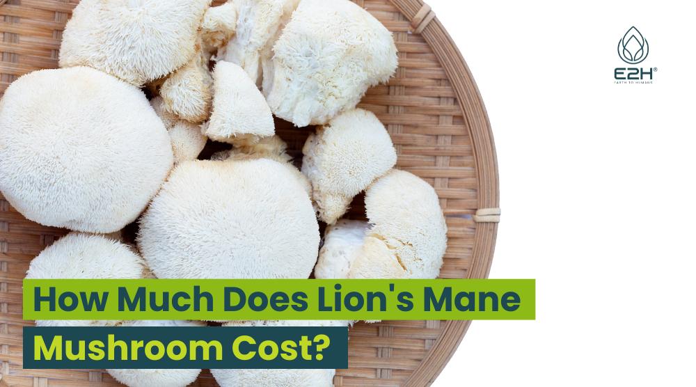 How Much Does Lion's Mane Mushroom Cost
