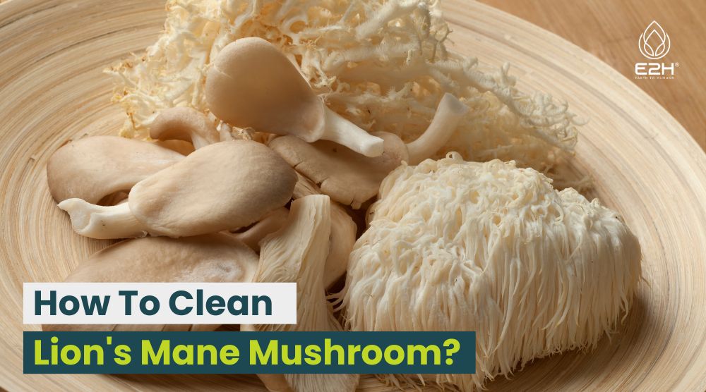 How To Clean Lion's Mane Mushroom