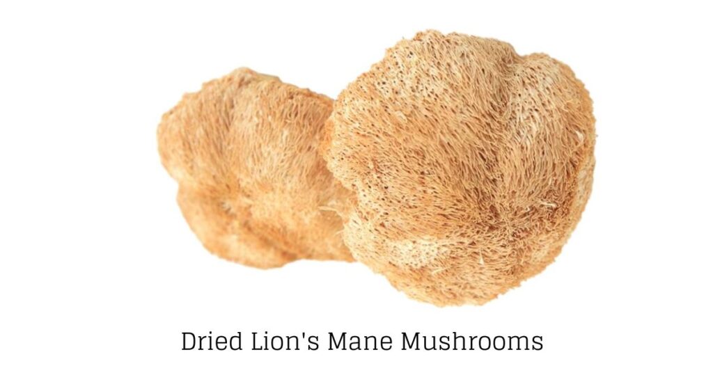 How To Cook Dried Lion's Mane Mushroom