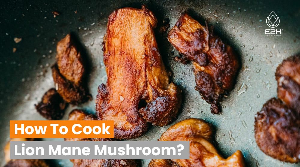 How To Cook Lion Mane Mushroom: Best Methods