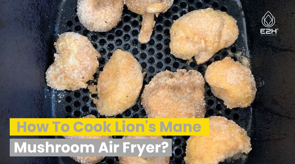 How To Cook Lion’s Mane Mushroom Air Fryer?