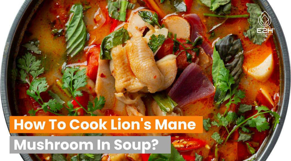 How To Cook Lion's Mane Mushroom In Soup