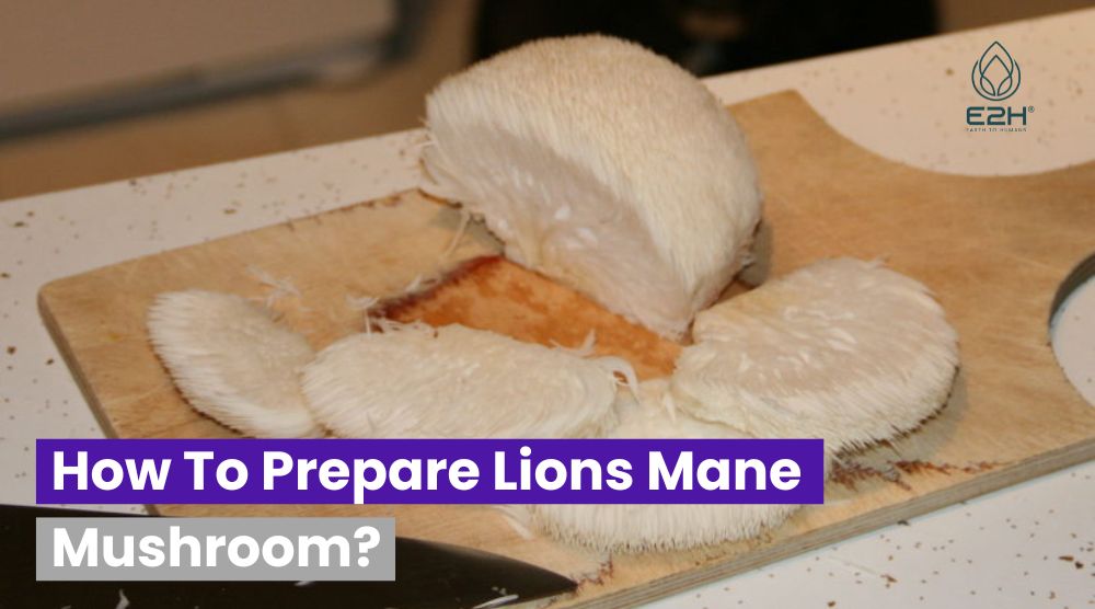 How To Prepare Lions Mane Mushroom: Best Methods