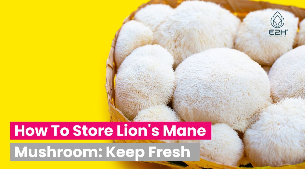 How To Store Lion's Mane Mushroom