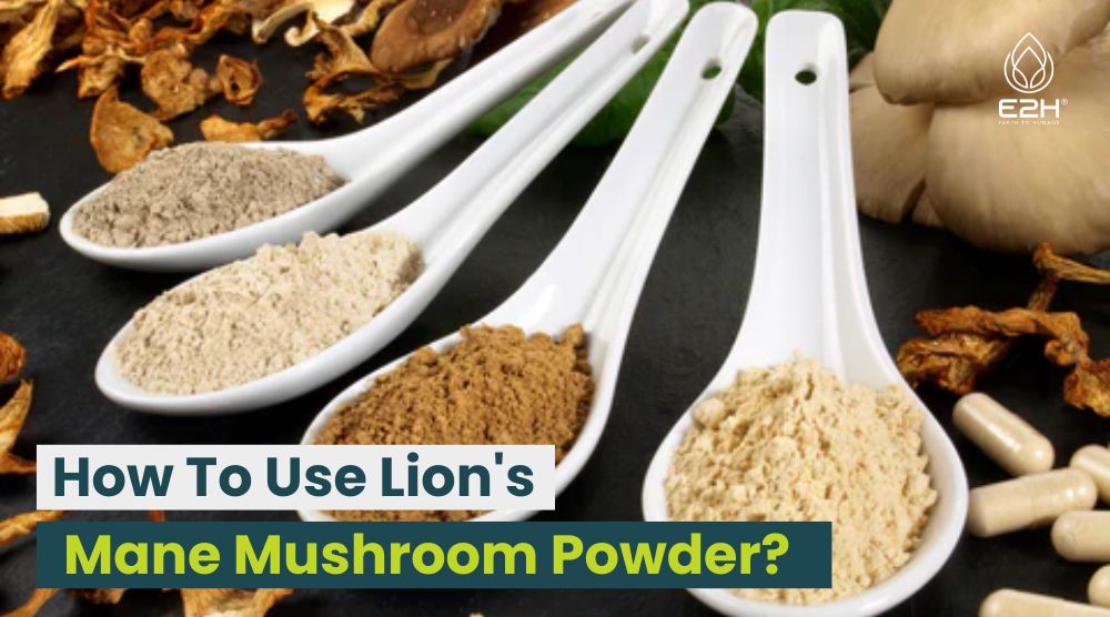 How To Use Lion's Mane Mushroom Powder