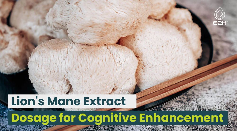 Lion’s Mane Extract Dosage for Cognitive Enhancement