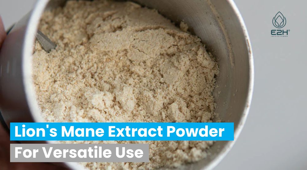 Lion's Mane Extract Powder For Versatile Use