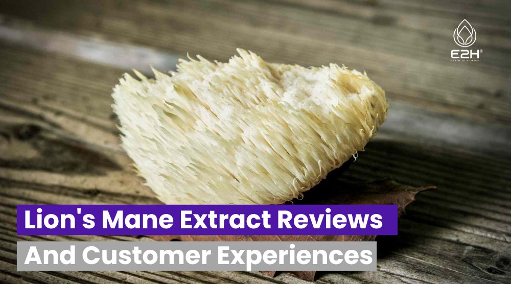 Lion’s Mane Extract Reviews And Customer Experiences: Best Or Bad!