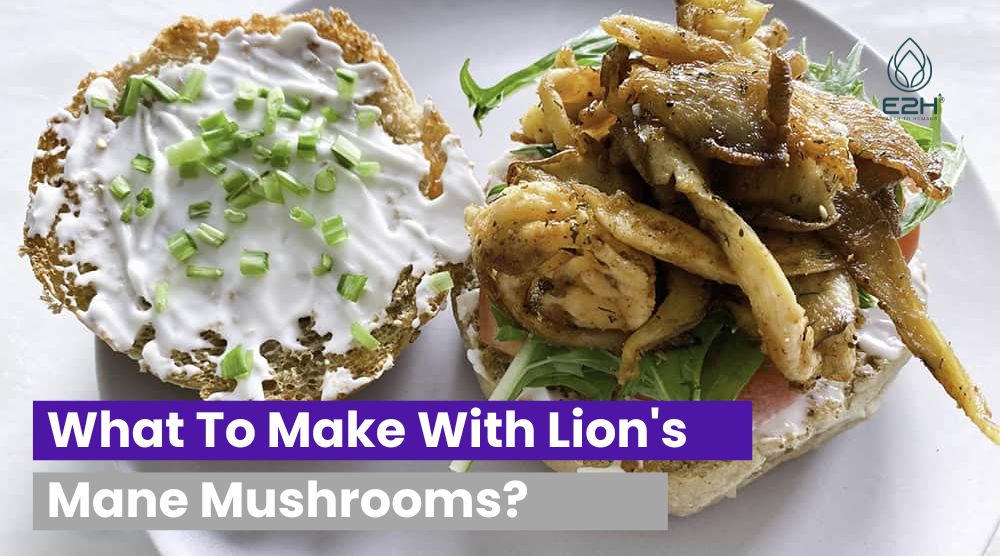 What To Make With Lion’s Mane Mushrooms?