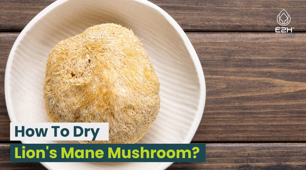 How To Dry Lion's Mane Mushroom