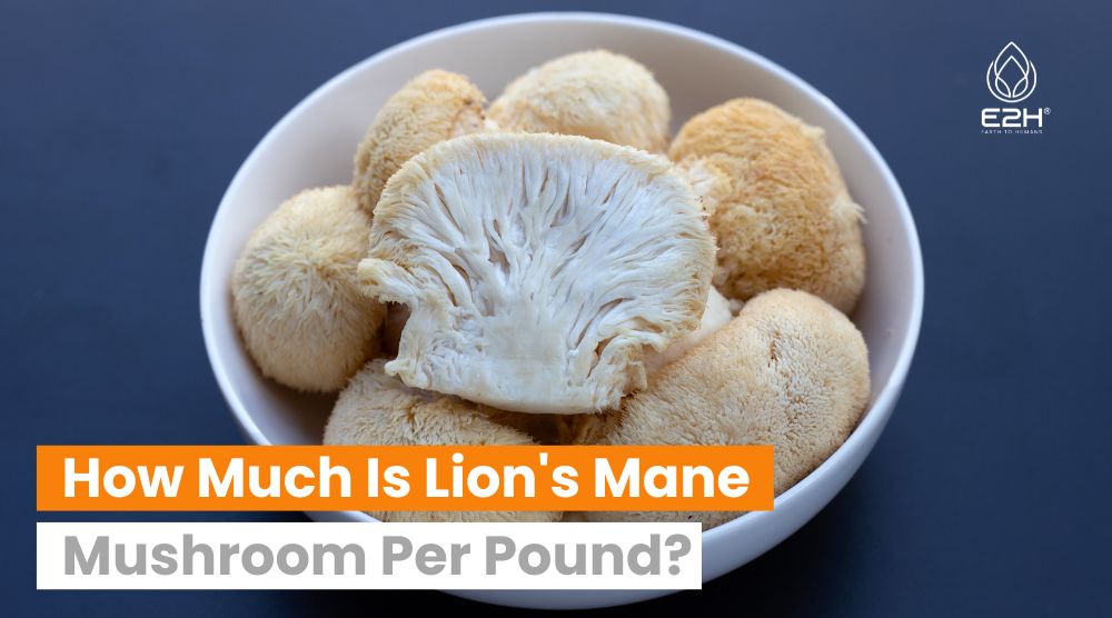 How Much Is Lion’s Mane Mushroom Per Pound?