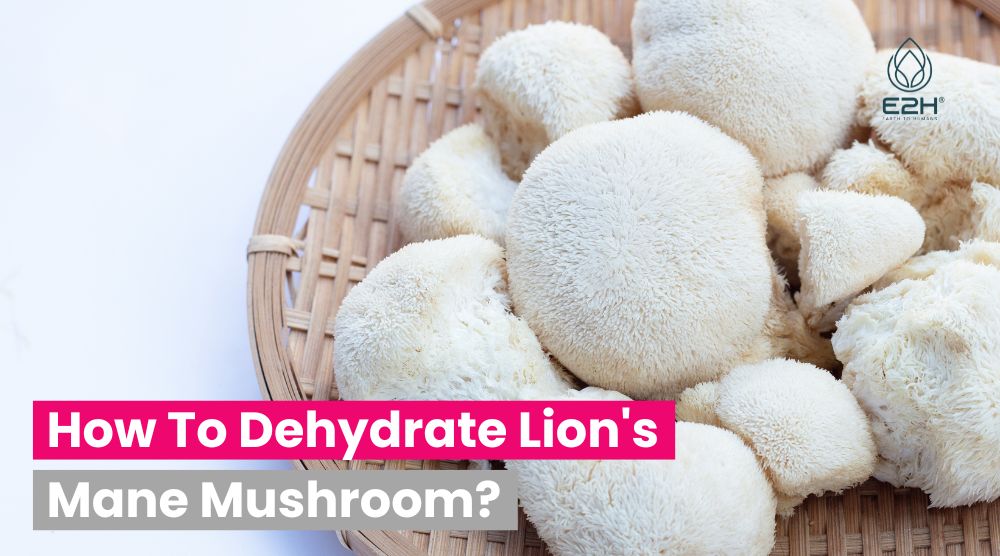 How To Dehydrate Lion's Mane Mushroom