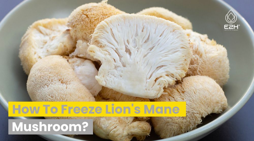 How To Freeze Lion’s Mane Mushroom?